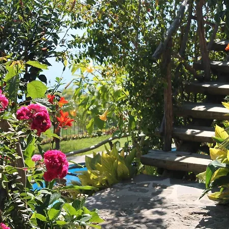 Calhau Grande 4* Арку-да-Кальета