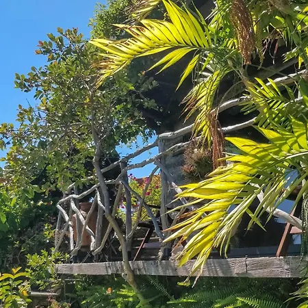 Maison d'hôtes Calhau Grande Arco da Calheta (Madeira)
