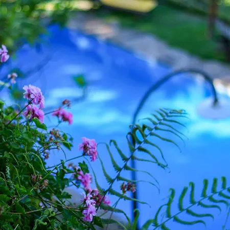 Guest house Calhau Grande